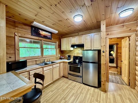 Tiny photo for 1140 River Divide Rd Rd, Sevierville, TN 37876 (MLS # 1325658)