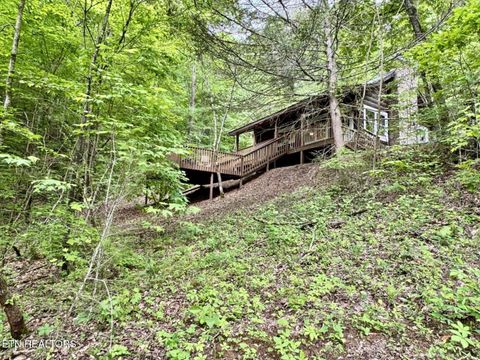 Tiny photo for 1140 River Divide Rd Rd, Sevierville, TN 37876 (MLS # 1325658)