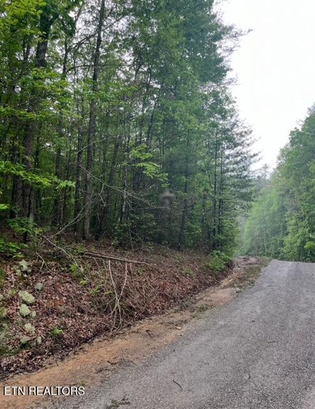 Photo of 0 Possum Trot Rd, Grandview, TN 37337 (MLS # 1290794)