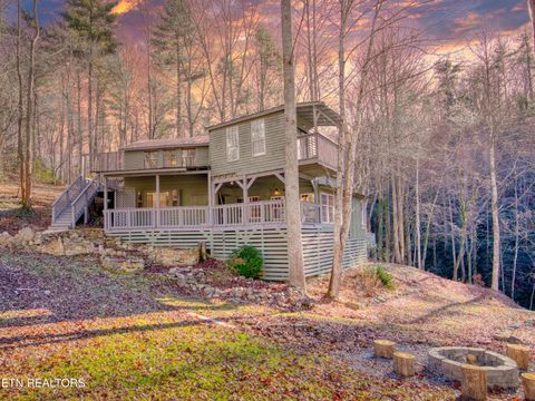 Photo of 925 Newcombe Branch Way, Cosby, TN 37722 (MLS # 1335231)