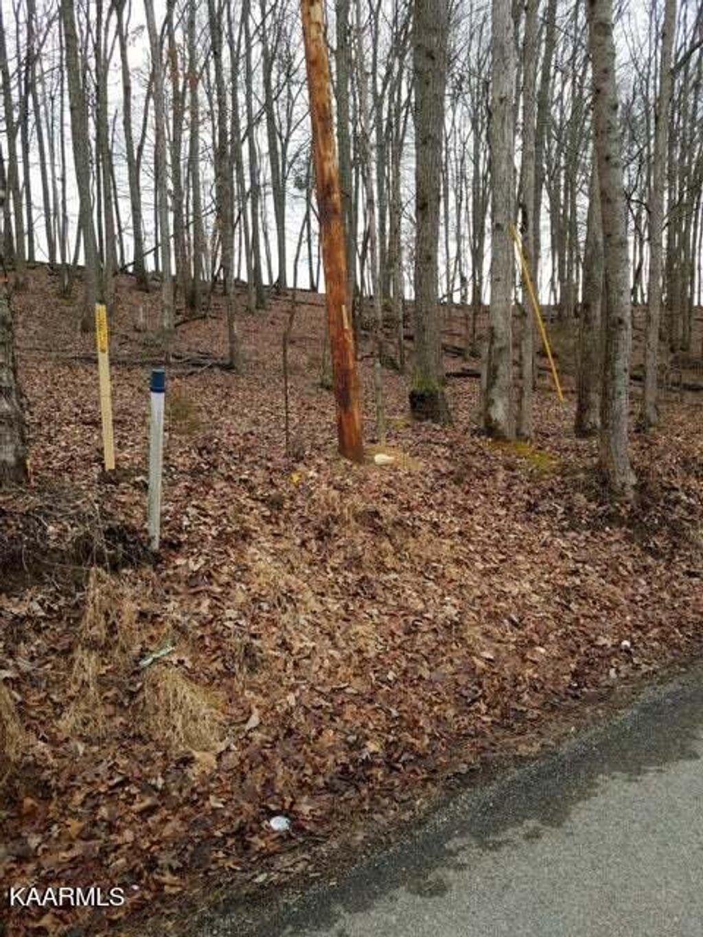 Photo of Old Cave Springs Rd, Tazewell, TN 37879 (MLS # 1230581)