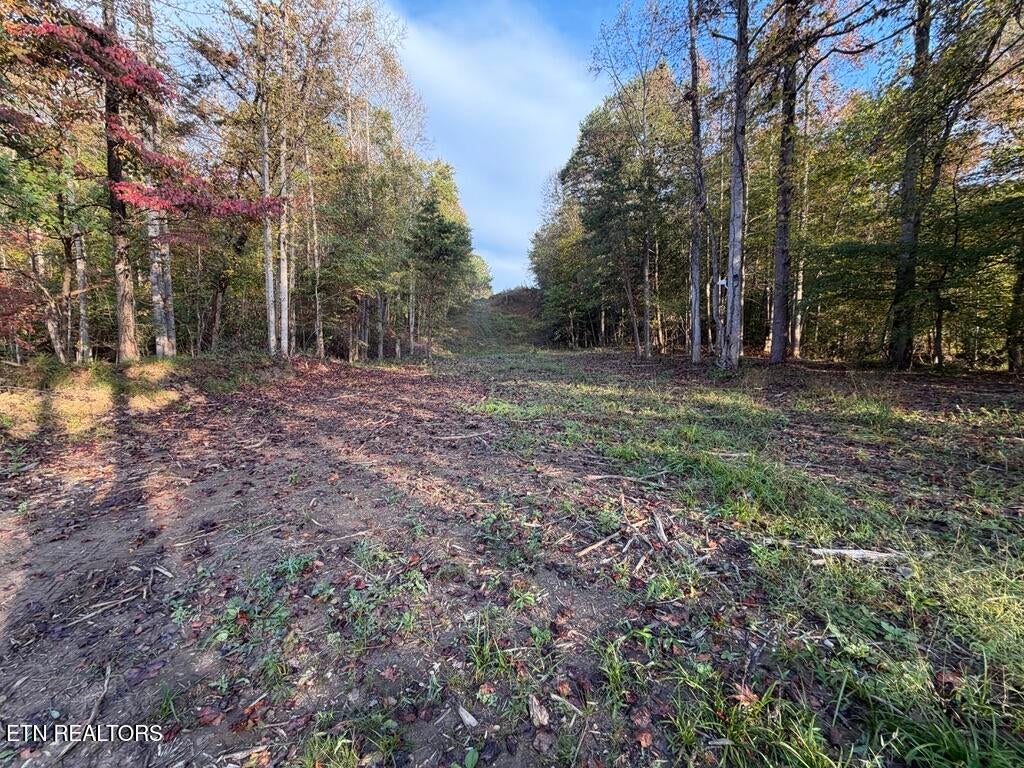 Photo of 0 Sled Creek Rd, Duff, TN 37729 (MLS # 1359010)