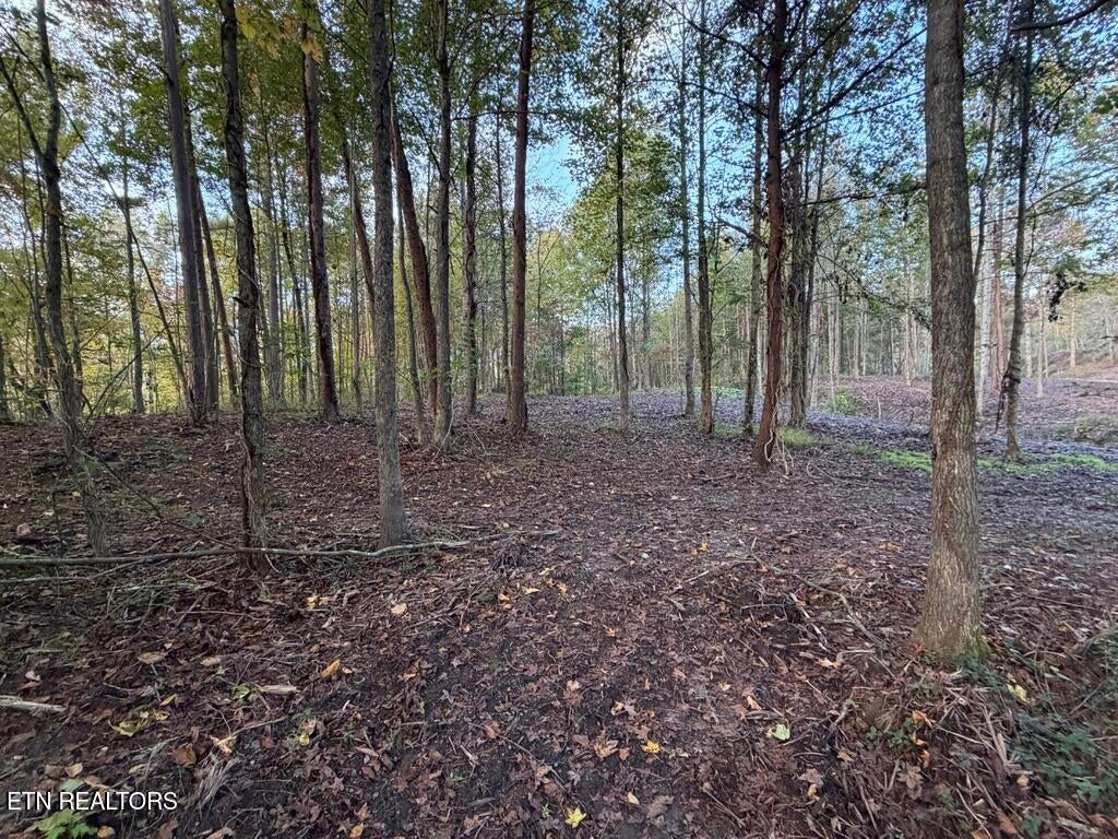 Photo of 0 Sled Creek Rd, Duff, TN 37729 (MLS # 1359010)