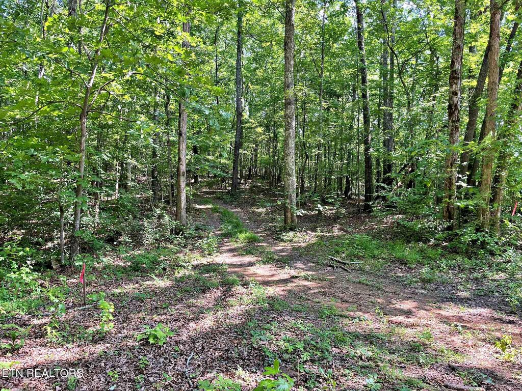 Photo of 4 Raby Hollow Road, Kingston, TN 37763 (MLS # 1307584)