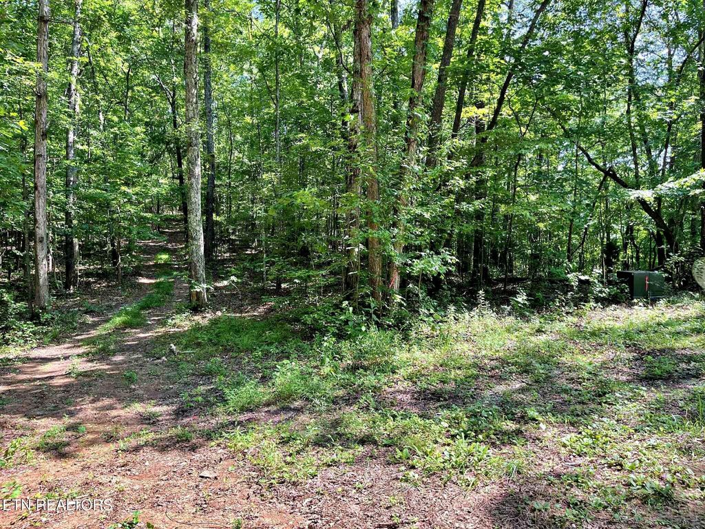 Photo of 4 Raby Hollow Road, Kingston, TN 37763 (MLS # 1307584)
