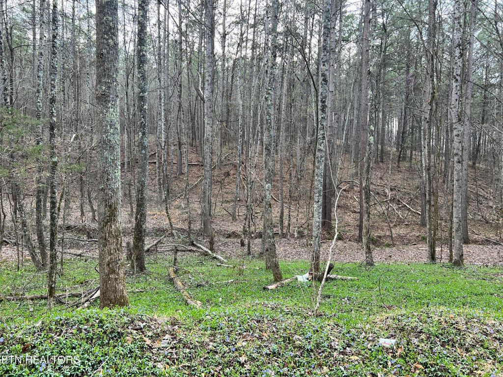 Photo of Butler Road Lot 4, Decatur, TN 37322 (MLS # 1297257)