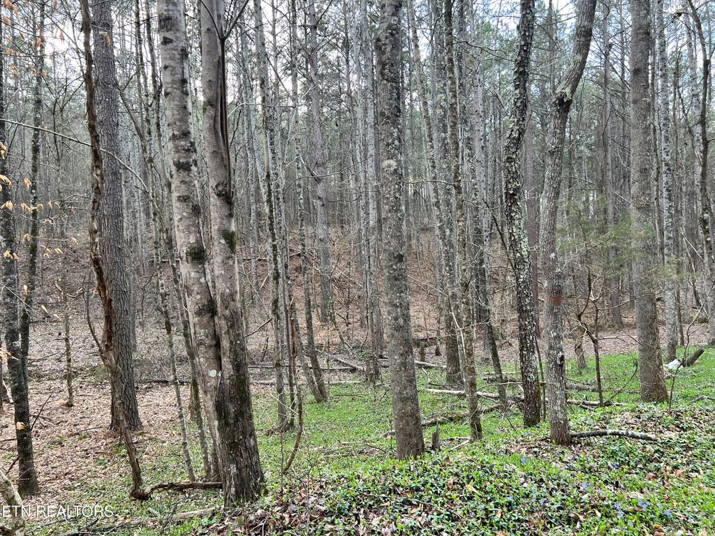 Photo of Butler Road Lot 4, Decatur, TN 37322 (MLS # 1297257)