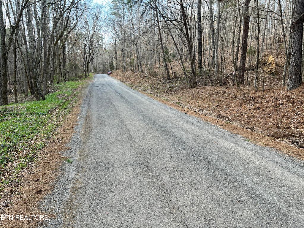 Photo of Butler Road Lot 4, Decatur, TN 37322 (MLS # 1297257)