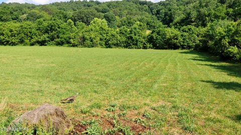 350 N VFW Rd Bulls Gap TN 37711