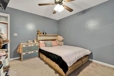 Tiny photo for 1063 Mt Carmel Rd, Decatur, TN 37322 (MLS # 1327662)