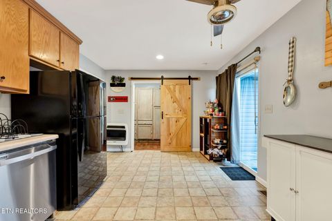 Tiny photo for 1063 Mt Carmel Rd, Decatur, TN 37322 (MLS # 1327662)