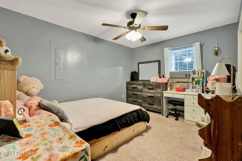 Tiny photo for 1063 Mt Carmel Rd, Decatur, TN 37322 (MLS # 1327662)