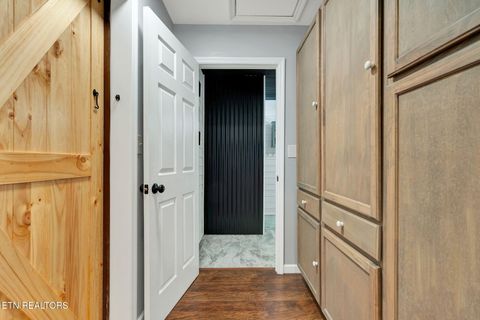 Tiny photo for 1063 Mt Carmel Rd, Decatur, TN 37322 (MLS # 1327662)