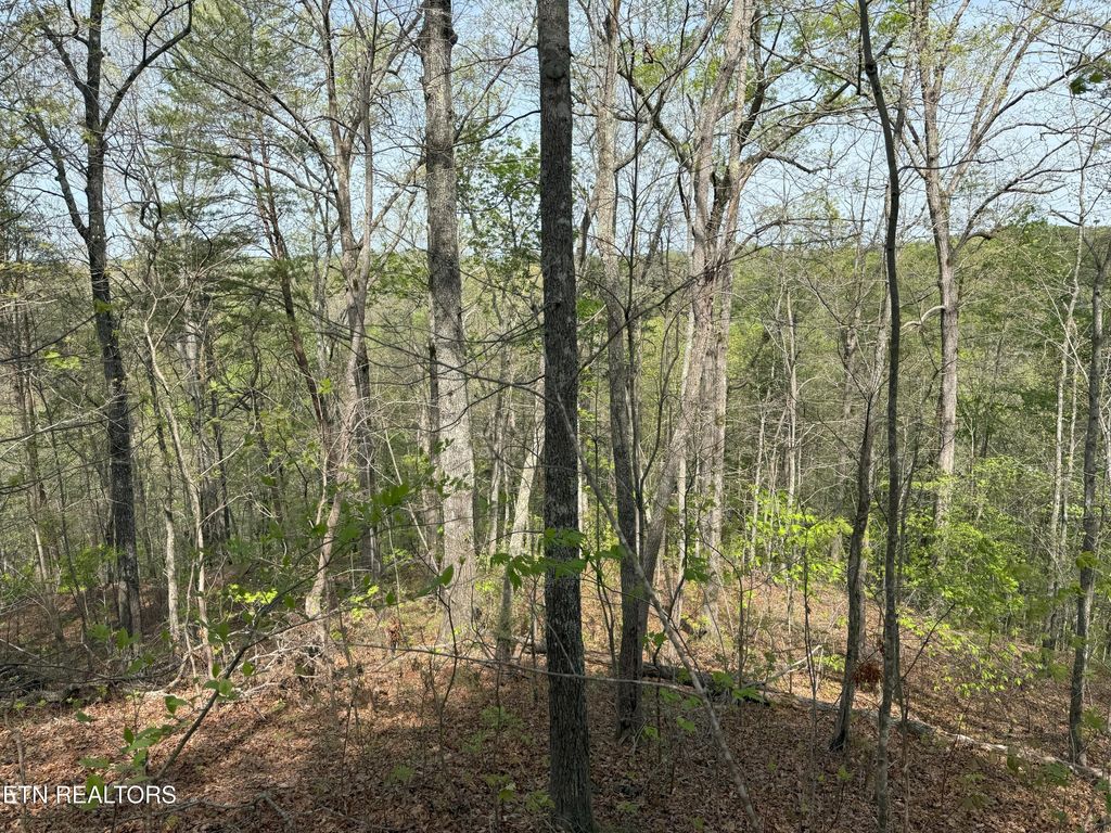 Photo of Citico Rd, Vonore, TN 37885 (MLS # 1298030)