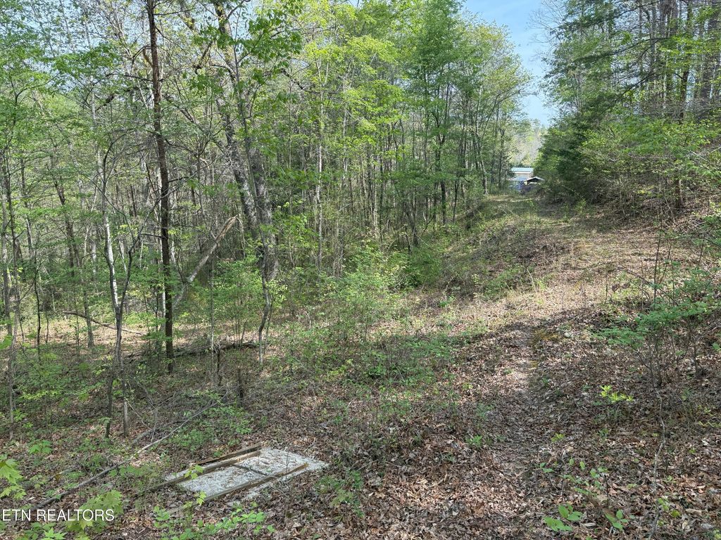 Photo of Citico Rd, Vonore, TN 37885 (MLS # 1298030)