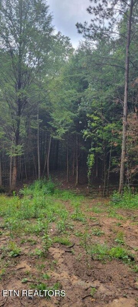 150 AC Prong Of Clear Jamestown TN 38556