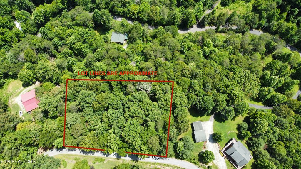Photo of Cove Hollow Rd, Cosby, TN 37722 (MLS # 1305189)