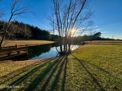 Tiny photo for Four Mile Creek Rd, Deer Lodge, TN 37726 (MLS # 1324714)