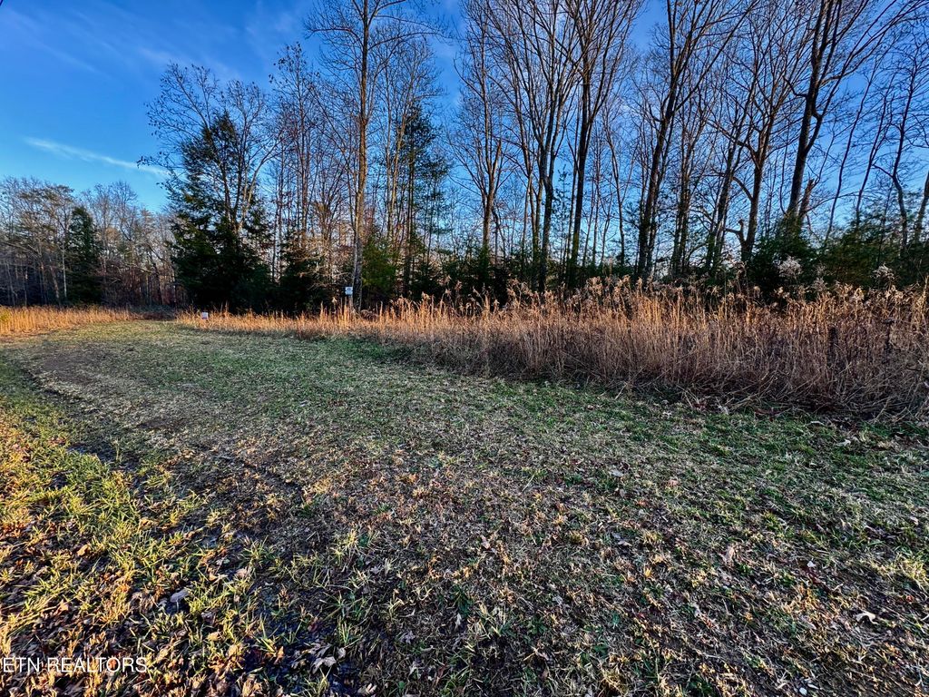 Photo of Four Mile Creek Rd, Deer Lodge, TN 37726 (MLS # 1324714)