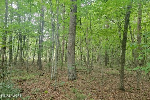 Tiny photo for Four Mile Creek Rd, Deer Lodge, TN 37726 (MLS # 1324714)