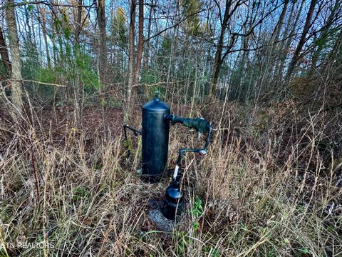 Tiny photo for Four Mile Creek Rd, Deer Lodge, TN 37726 (MLS # 1324714)