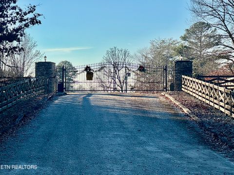 Tiny photo for Four Mile Creek Rd, Deer Lodge, TN 37726 (MLS # 1324714)