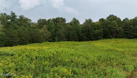 Tiny photo for Four Mile Creek Rd, Deer Lodge, TN 37726 (MLS # 1324714)