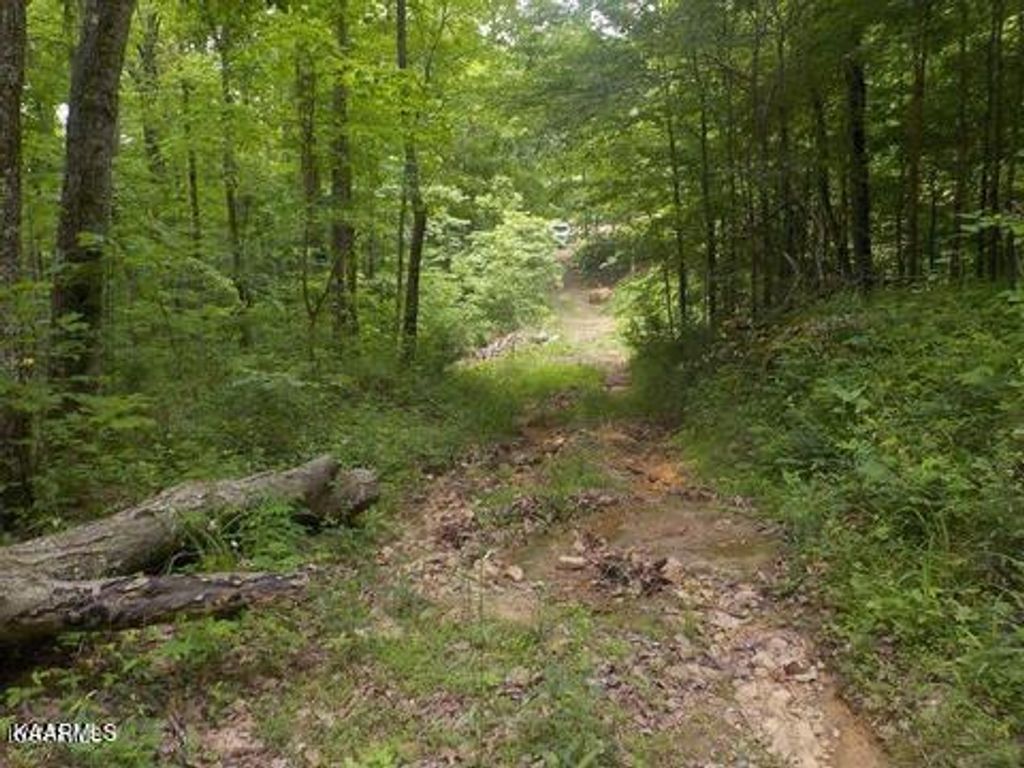 Photo of Lea Lakes Road, Blaine, TN 37709 (MLS # 1220944)