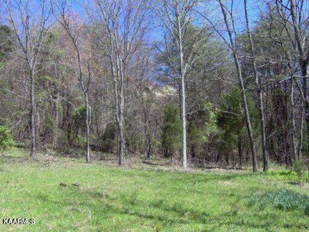 Photo of Lea Lakes Road, Blaine, TN 37709 (MLS # 1220944)