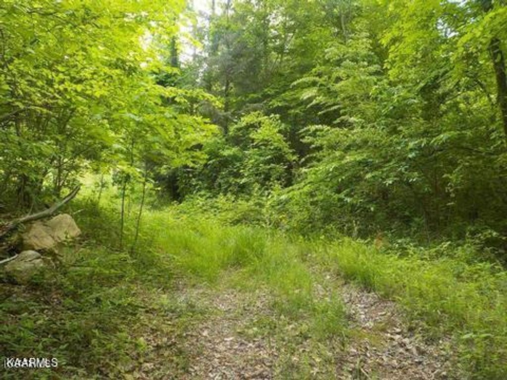 Photo of Lea Lakes Road, Blaine, TN 37709 (MLS # 1220944)