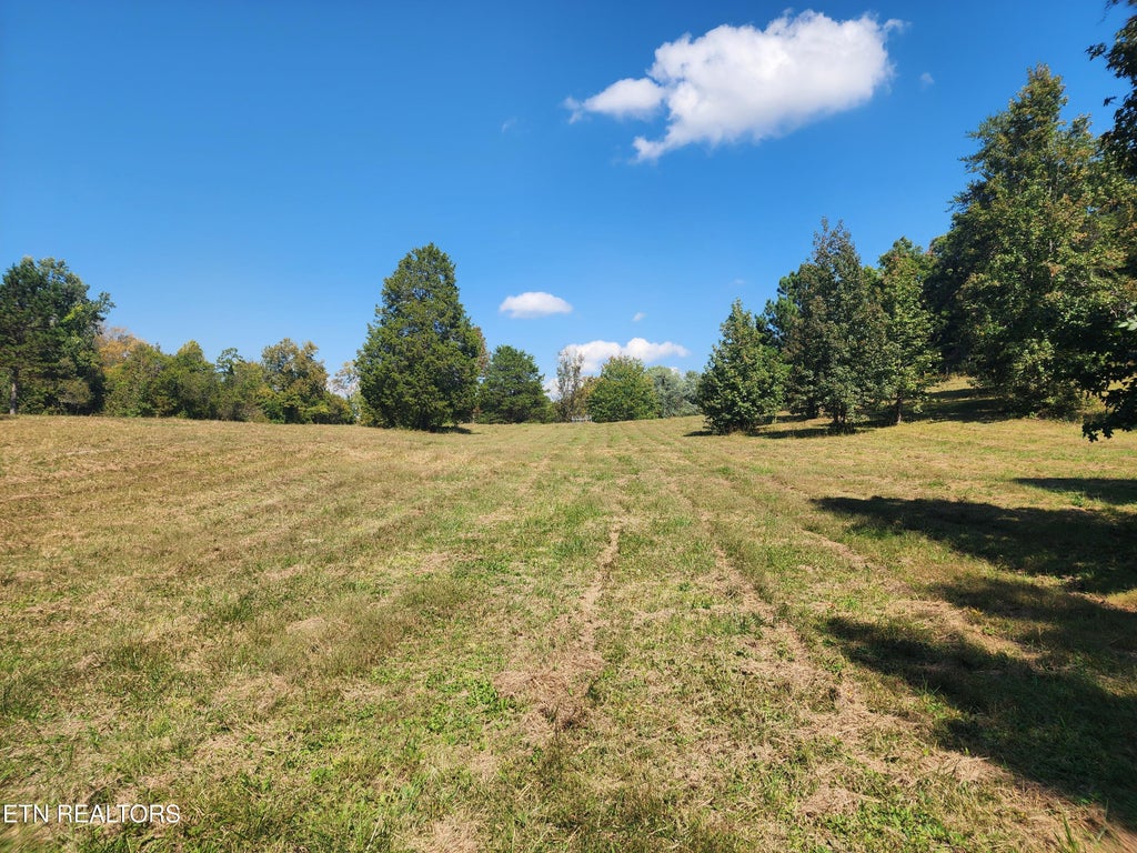 Photo of Spring City Hwy, Rockwood, TN 37854 (MLS # 1358100)