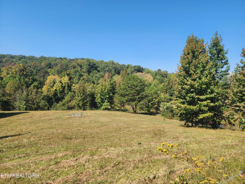 Photo of Spring City Hwy, Rockwood, TN 37854 (MLS # 1358100)
