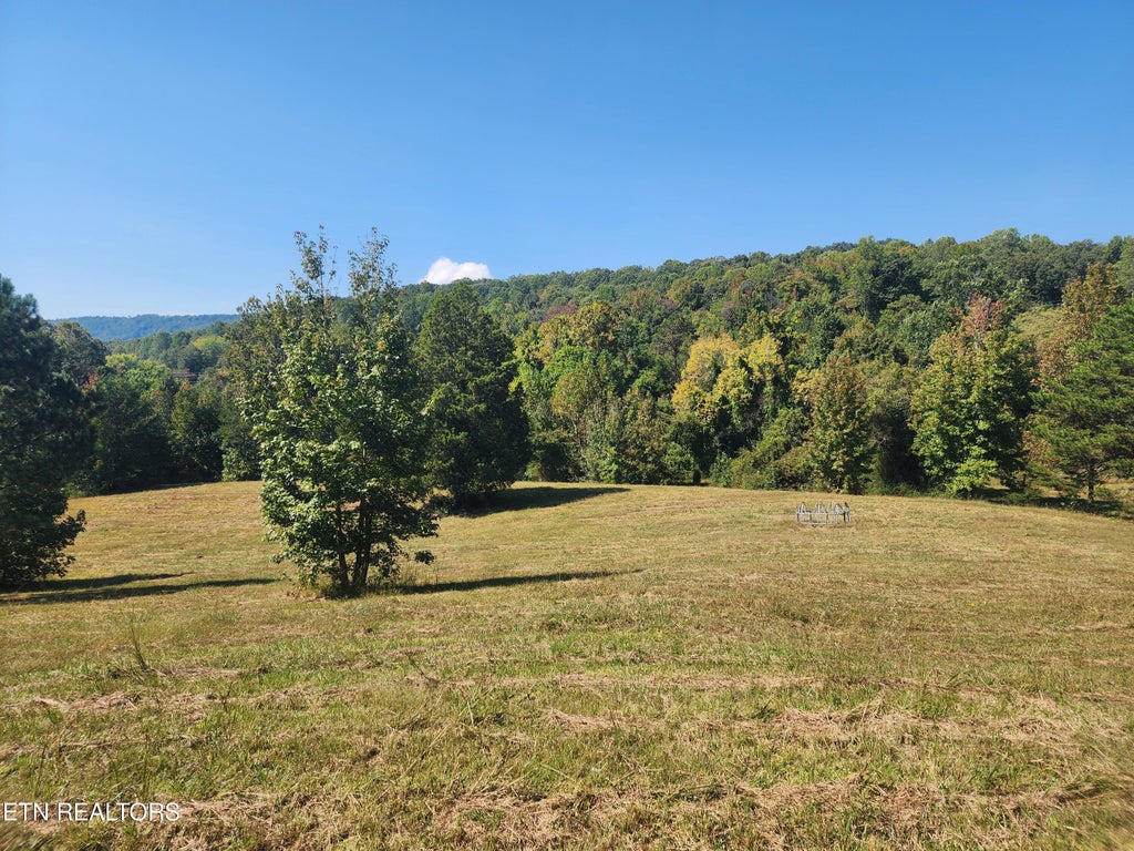 Photo of Spring City Hwy, Rockwood, TN 37854 (MLS # 1358100)