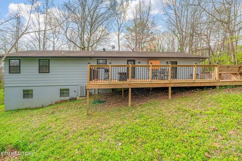 Tiny photo for 3612 Sprucewood Rd, Knoxville, TN 37921 (MLS # 1333898)