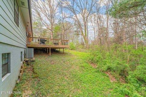 Tiny photo for 3612 Sprucewood Rd, Knoxville, TN 37921 (MLS # 1333898)