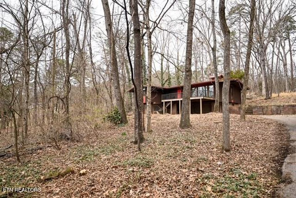 Photo of 613 Chilhowee School Rd, Seymour, TN 37865 (MLS # 1330482)