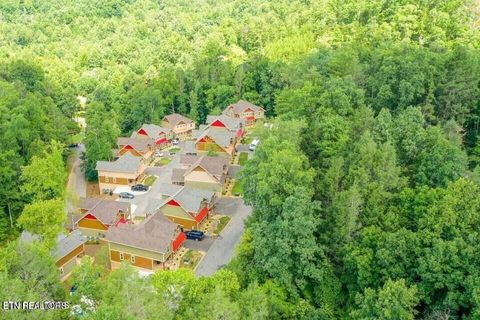 Tiny photo for 1132 Anastasia Way, Gatlinburg, TN 37738 (MLS # 1342305)