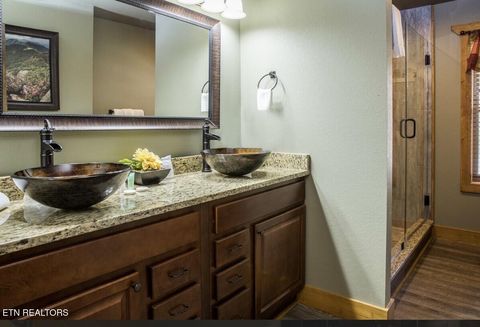 Tiny photo for 1132 Anastasia Way, Gatlinburg, TN 37738 (MLS # 1342305)