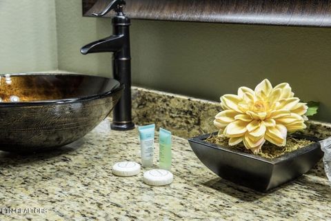 Tiny photo for 1132 Anastasia Way, Gatlinburg, TN 37738 (MLS # 1342305)