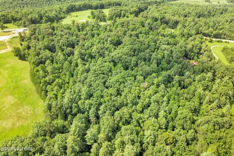 Tiny photo for Nashville Hwy, Deer Lodge, TN 37726 (MLS # 1316914)