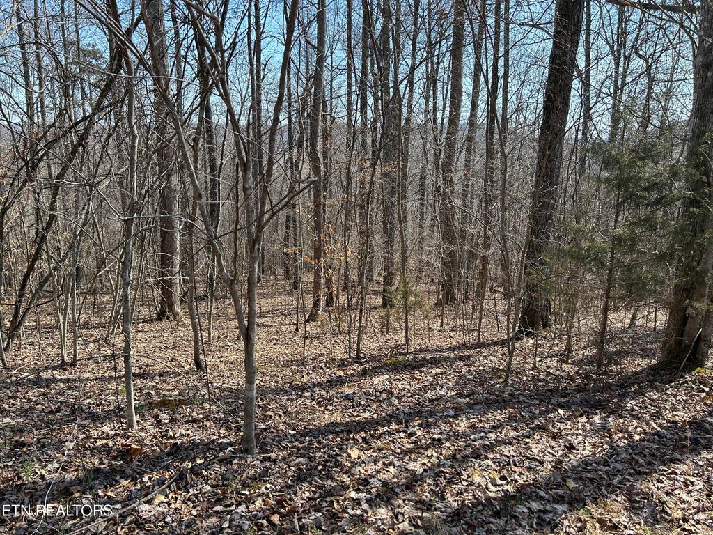 Photo of 529 Garnet Trail Tr, New Tazewell, TN 37825 (MLS # 1254285)