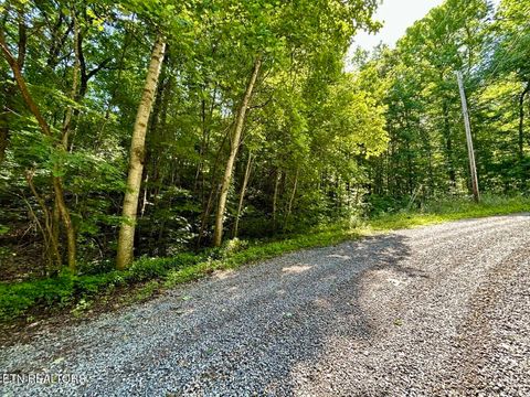 Tiny photo for 00 Grand Country Drive, Cosby, TN 37722 (MLS # 1323191)