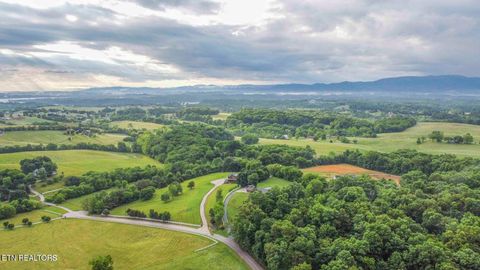 Tiny photo for 1124 Carolina Drive, Dandridge, TN 37725 (MLS # 1328188)