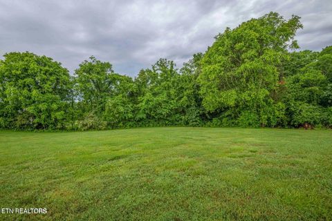 Tiny photo for 1124 Carolina Drive, Dandridge, TN 37725 (MLS # 1328188)