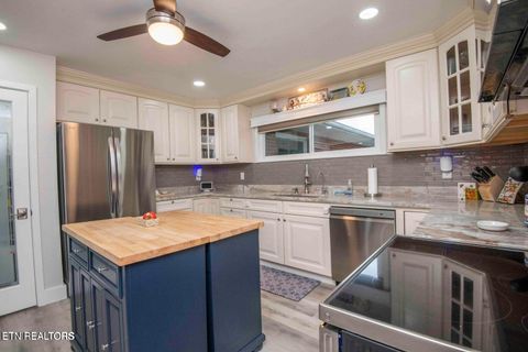 Tiny photo for 1124 Carolina Drive, Dandridge, TN 37725 (MLS # 1328188)