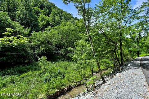 Photo of 00 Caney Creek Rd, Pigeon Forge, TN 37863 (MLS # 1336047)
