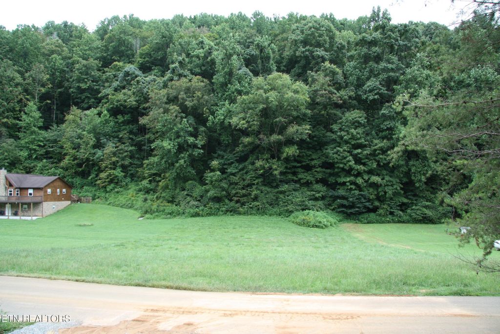 Photo of 23 Perilla Drive, Cosby, TN 37722 (MLS # 1310580)