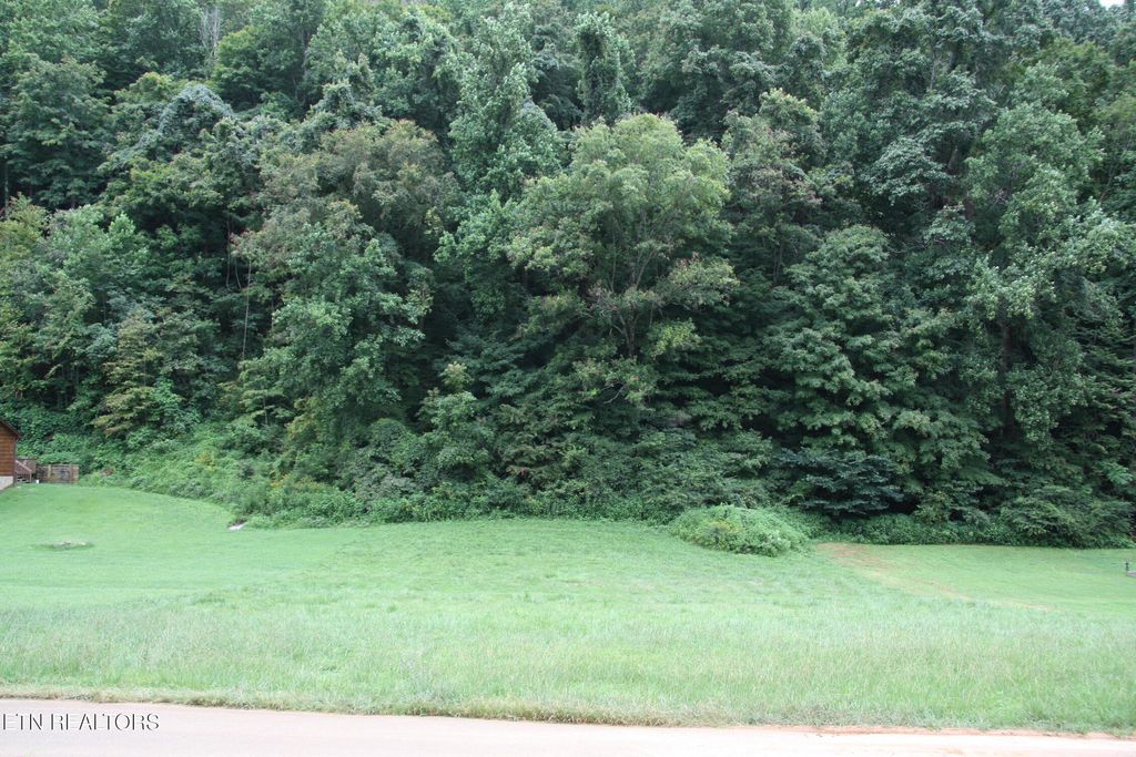 Photo of 23 Perilla Drive, Cosby, TN 37722 (MLS # 1310580)