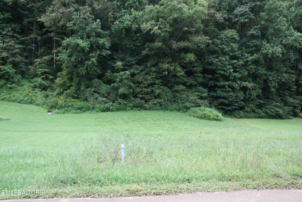 Photo of 23 Perilla Drive, Cosby, TN 37722 (MLS # 1310580)