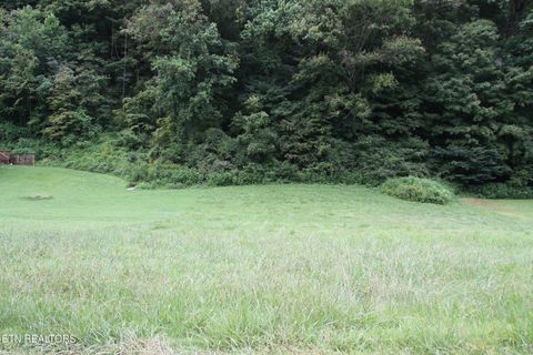 Tiny photo for 23 Perilla Drive, Cosby, TN 37722 (MLS # 1310580)